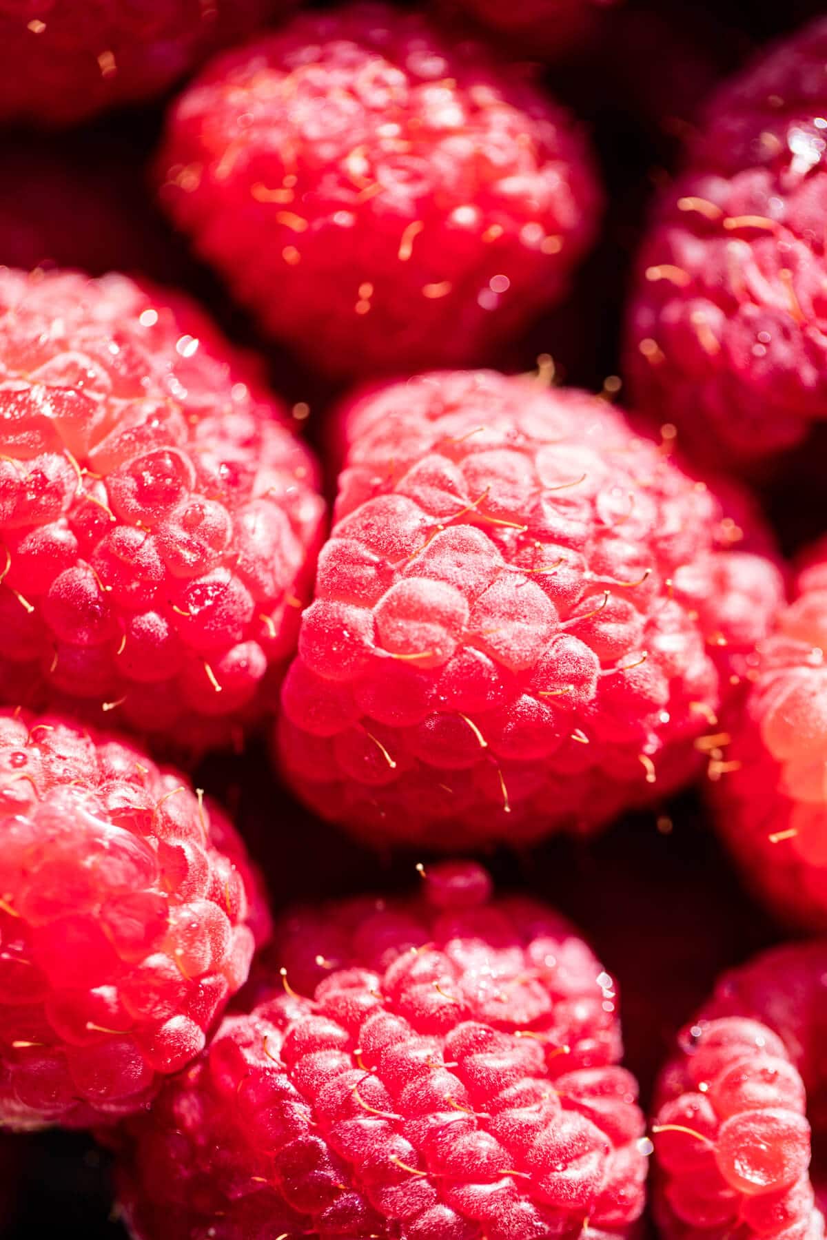 Raspberry Ricotta羊角面包法式吐司|halfbakedharvest.com @hbharvest.