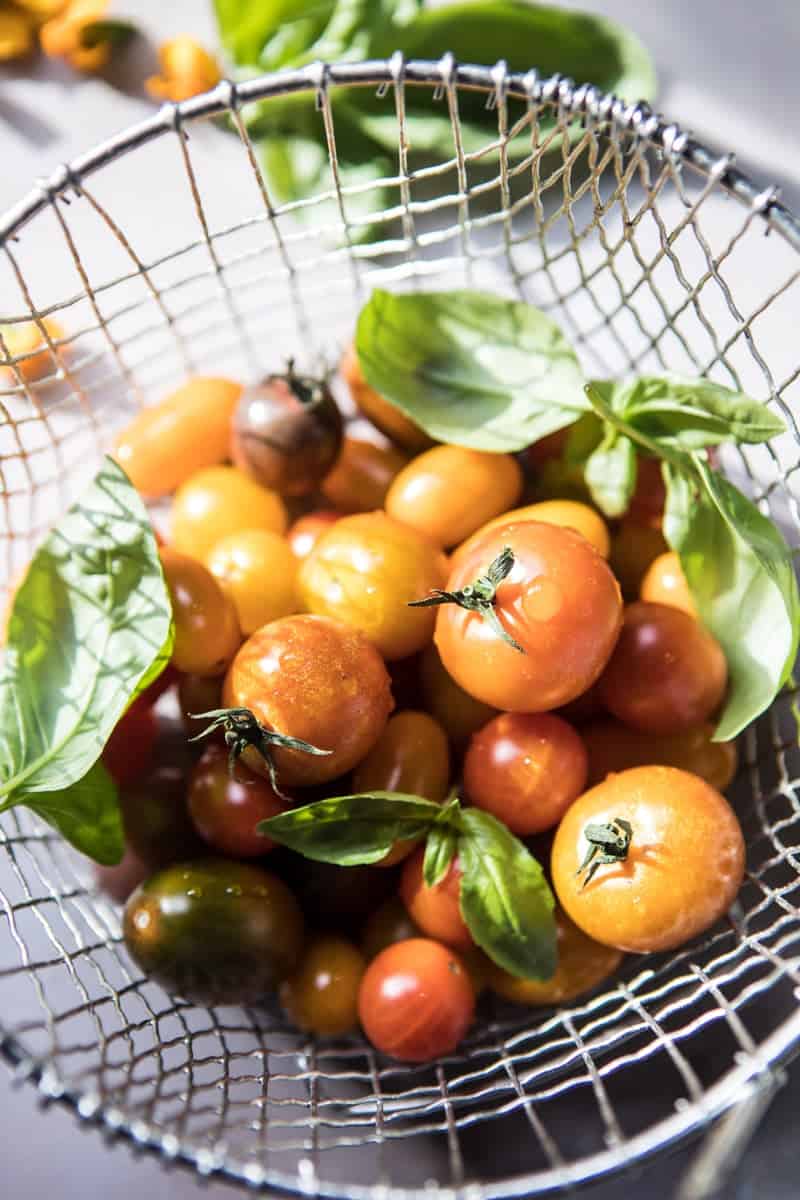 爆樱桃番茄，朝鲜蓟，西葫芦披萨|半烤harvest.com @hbharvest