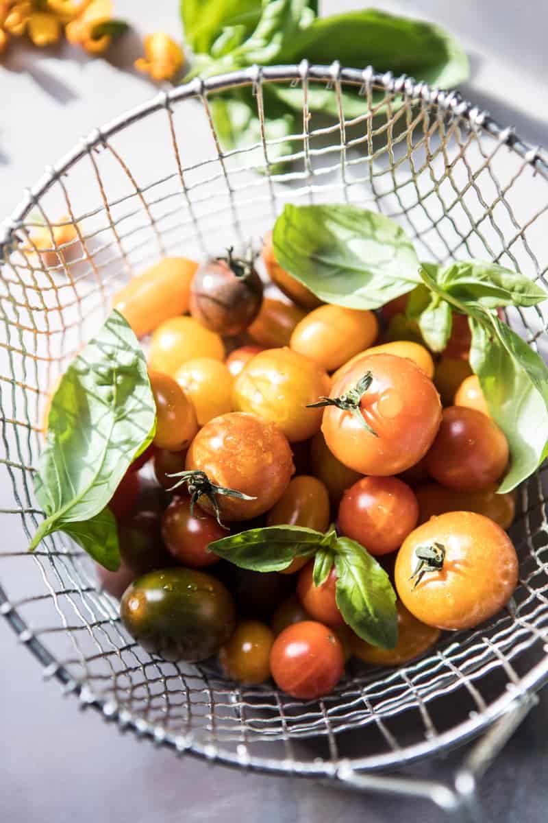 爆樱桃番茄，朝鲜蓟，西葫芦披萨|半烤harvest.com @hbharvest