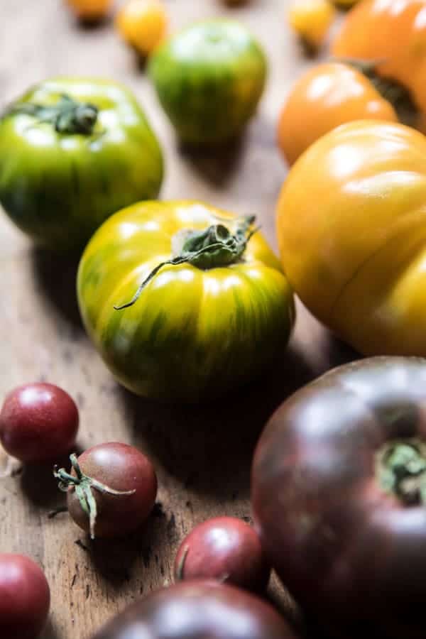 夏季番茄和西葫芦哈罗姆米烘焙|halfbakedharvest.com @hbharvest.