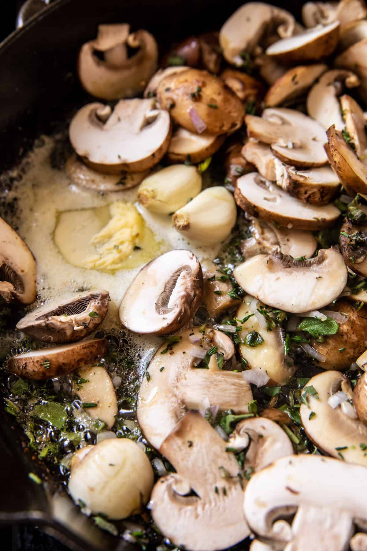 奶油蘑菇和布里鸡|半烤harvest.com